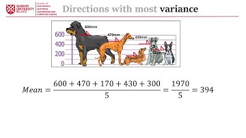 Data Analysis and Visualisation Review | Principal Component Analysis