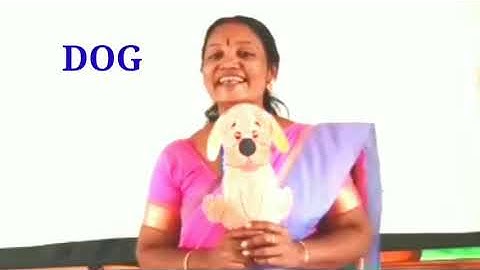 Std 3 English Unit 1 Class 03 White Board SLD