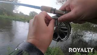 Throop Fishery Dorset Stour and Royalty Fishery Barbel Fishing (Takes Compilation)