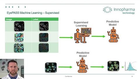 EyePASS V3 0 Machine Learning particle size