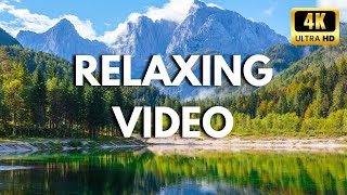 Relaxing Sleep Music for Stress Relief | #Sleeping #Meditation #nature #adventure #relaxation #fyp