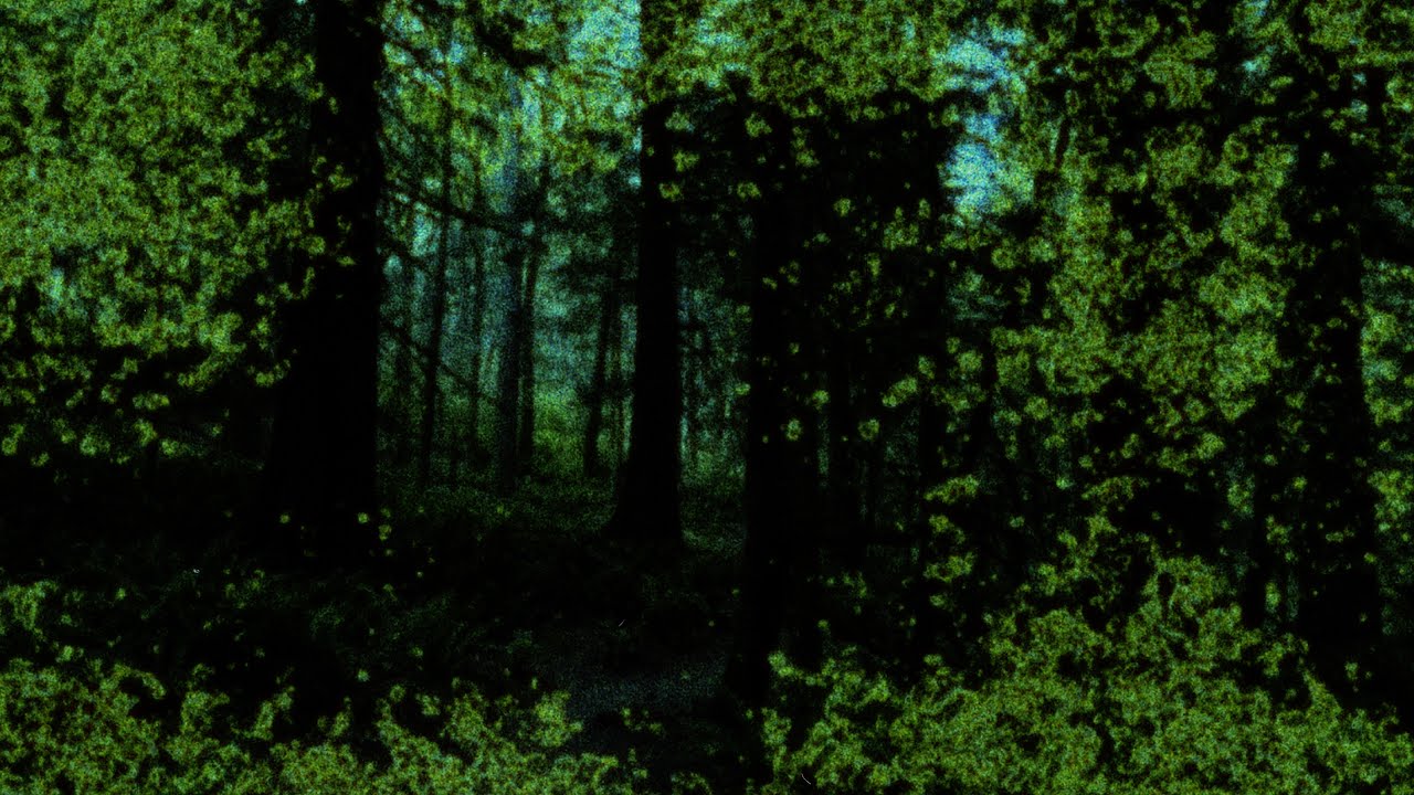 Guarda silent collision - Desolation (Official Visualizer) su YouTube Guarda silent collision - Desolation (Official Visualizer) su YouTube