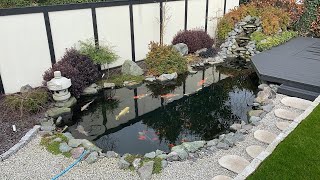 Beautiful Japanese Style Koi Pond In The UK! Beautiful Japanese Style Koi Pond In The UK!