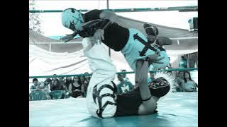 GANDER RAYDEN Y DRAGON NEGRO.3gp.wmv