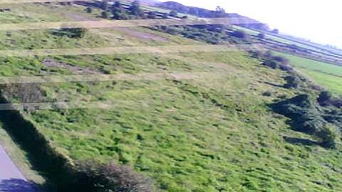 world models 1/6 clipped wing cub