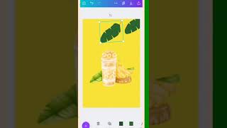 Desain Kemasan Produk Makanan dengan Canva dan Buat Mock up nya Desain Kemasan Produk Makanan dengan Canva dan Buat Mock up nya
