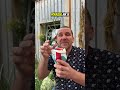 Kurs stacjonarny | Terapia manulana w gabinecie logopedycznym