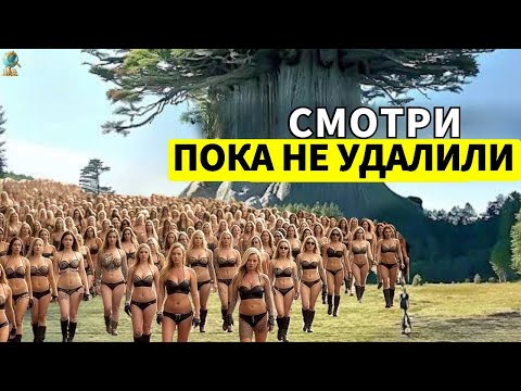 Самое БОЛЬШОЕ дерево в мире — Вы НЕ ПОВЕРИТЕ, что оно реально существует