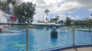 Harry's Waterpark