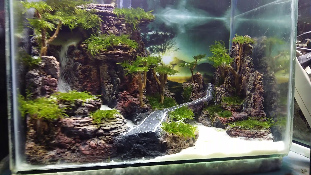 Aquascape air terjun mini YouTube