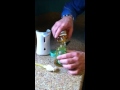 How To Refill A Lysol No Touch Soap Dispenser At Home & Save Money by Thrifty Coupon Couple
