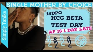 14 DPO hCG Beta Test Day | AF is 1 Day Late