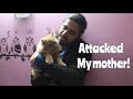 Why I Hated CATS before Simba | my True Story | Wildly Indian