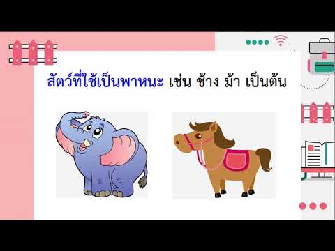 ประเภทของสัตว์เลี้ยง