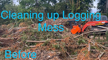 Logging slash clean up