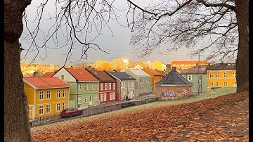 Celebrating silence in a loud world / Slow living vlog / Baking crispbread