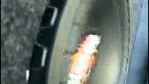 12vdb.com - car audio database: Kicker Compvr12.3