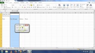 Excel: Module 1: Case 3