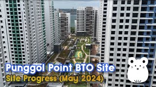 Punggol Point Cove / Crown BTO (May-2024) - Progress Update