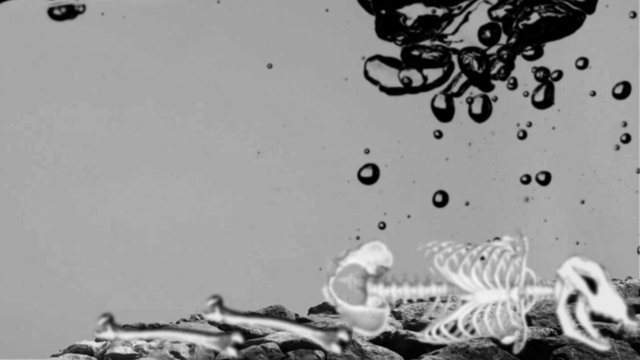 I Did Not Mean for This Part to End Like This... | Casulties Unknown - Part 8