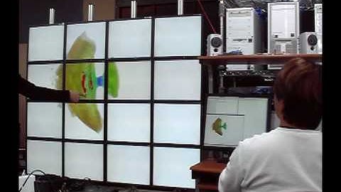 Huge Data Rendering with Tiled Display