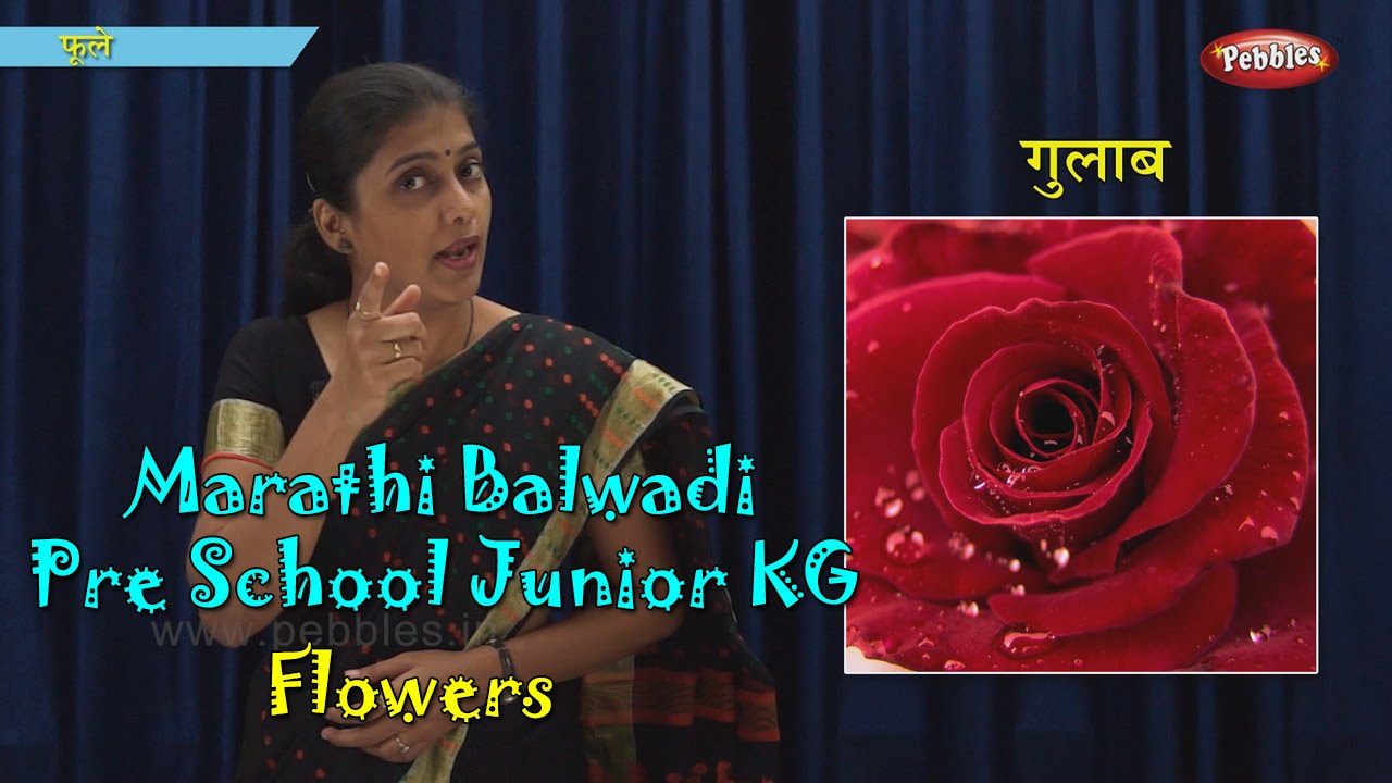 Flowers Name In Marathi To English | Best Flower Site