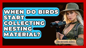 When Do Birds Start Collecting Nesting Material? - Bird Watching Diaries