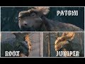 Walking With Dinosaurs Rock Juniper And Patchi Walking With Dinosaurs Rock Juniper And Patchi