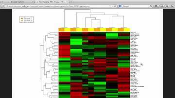 TUTORIAL:  Heatmaps