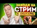 СРОЧНО! ПОКУПАЮ КЕРАМБИТ ГОЛД ПРЯМО НА СТРИМЕ И ИГРАЮ С ПОДПИСЧИКАМИ В Standoff 2 / СТРИМ СТАНДОФФ 2