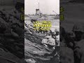 軍用犬2匹対米軍3 5万人で日本が勝利した!?「コテージ作戦」について解説 #shots #ゆっくり解説