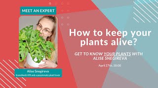 Meet an Expert: Plant Workshop screenshot 5