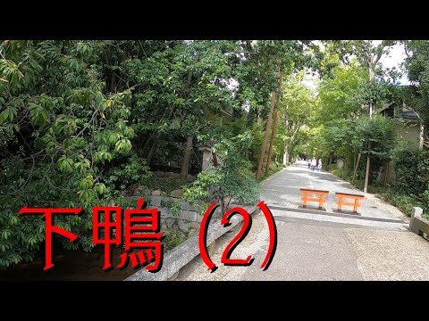 Видео: Симогамо-Дзиндзя в Киото: полное руководство