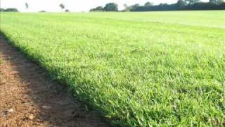 Fresh Turf Suppliers, TURF FARM PRODUCTION in the UK