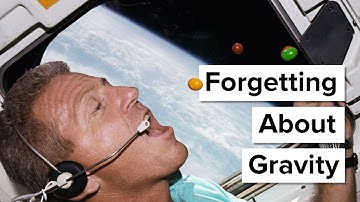 Forgetting About Gravity