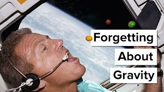 Forgetting About Gravity