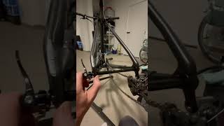 Focus rat axle misery