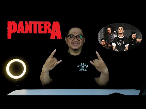 Video: Apakah pantera band yang bagus?