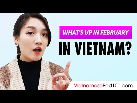 Video: Feestdagen in Vietnam in februari