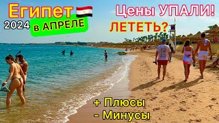 Египет в АПРЕЛЕ 2024🇪🇬 ЦЕНЫ РУХНУЛИ❗️А СТОИТ ли ЕХАТЬ? Плюсы и минусы отдыха в Египте весной