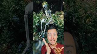 The Craziest Skeleton Decorations