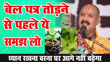 बेल पत्र तोड़ने से पहले एक बात का ध्यान रखना वरना घर आगे नहीं बढ़ेगा | pradeep Mishra ji bel patra