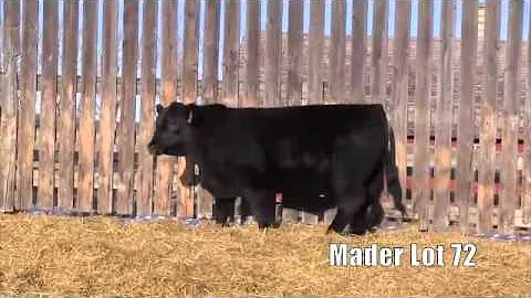 Mader Lot 72