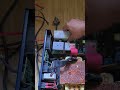 छिपकली ने किया इनवर्टर का बुरा हाल!#shorts #repairing