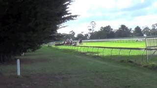 They call this Jumps Racing
Jumps racing continues to disappoint with horses falling at an alarmingly high rate. Many horses will sustain injuries from hitting the obstacles and/or landing awkwardly resulting in retirement and a very bleak future.
Jumps proponents claim these horse are saved from the knackery yet it is in reality on a brief and often painful reprieve. They call this Jumps Racing