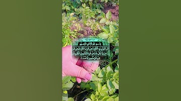 #سورة_الفلق #اكسبلور #villagelife #automobile #الرحمن #دحمان #تيك_توك #القزابري #لايك #الورقات