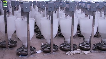 MADE IN CHINA - MODERN PIG FARM WITH FULLY AUTOMATED LIQUID FEEDING SYSTEM(3000 PIGS)