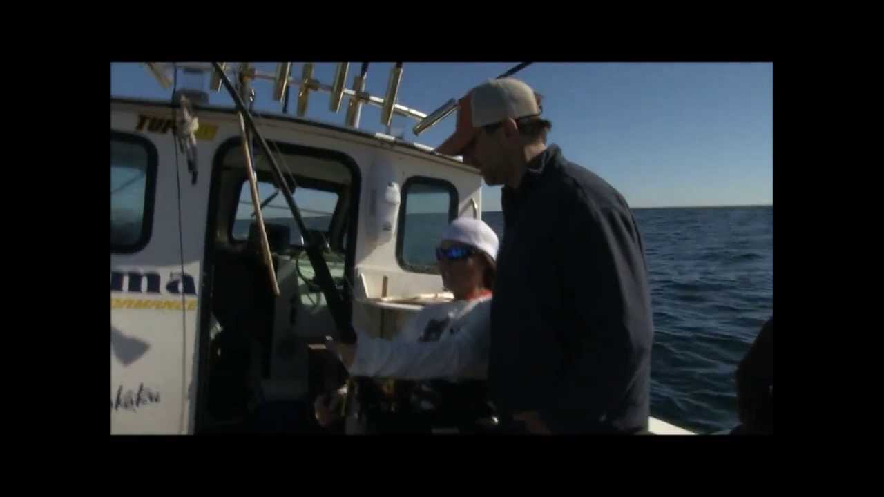 Black Magic Fighting Harness