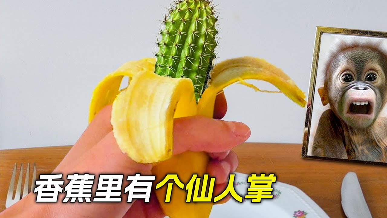 香蕉裡長出仙人掌，還冒出了只鴨子，科幻，奇幻，短片，解說，獵奇，超能力，喜劇，搞笑，懸疑，短片，short film