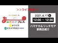 【オカダヤコラボ企画第2弾】エアあみだおれフェス〜2021年春夏新商品紹介〜